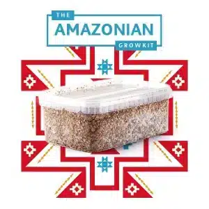 Amazonian Myceliumbox