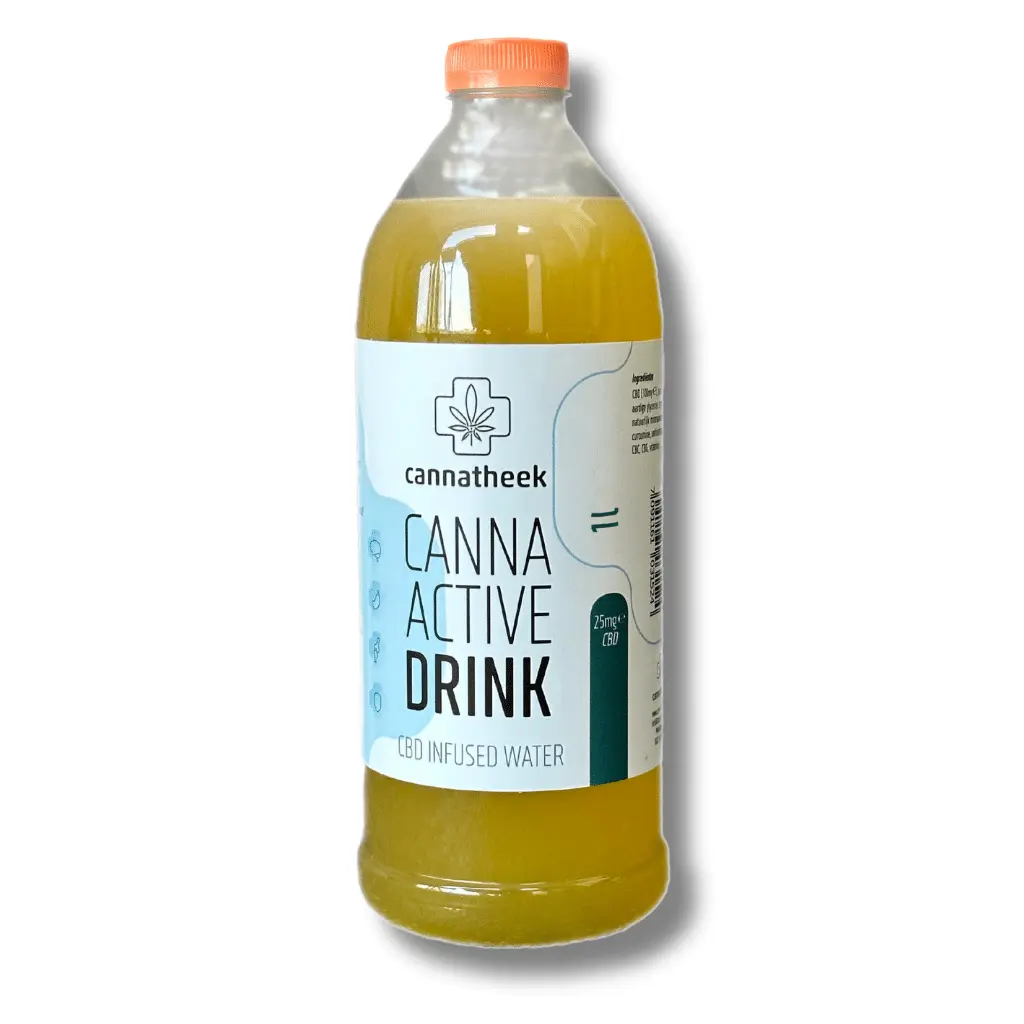 CannaActive Drink 1l