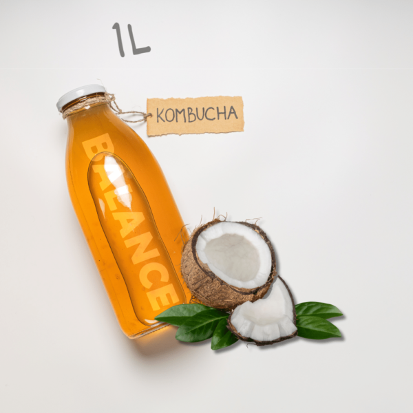 Kombucha Balance Coconut 1L