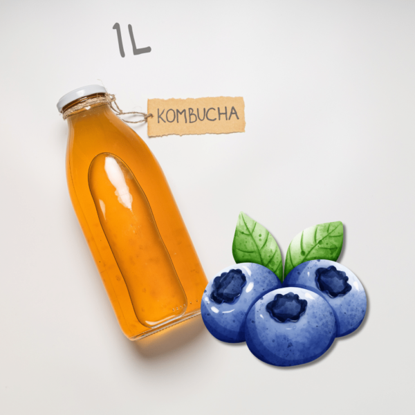 Kombucha Blueberry 1L