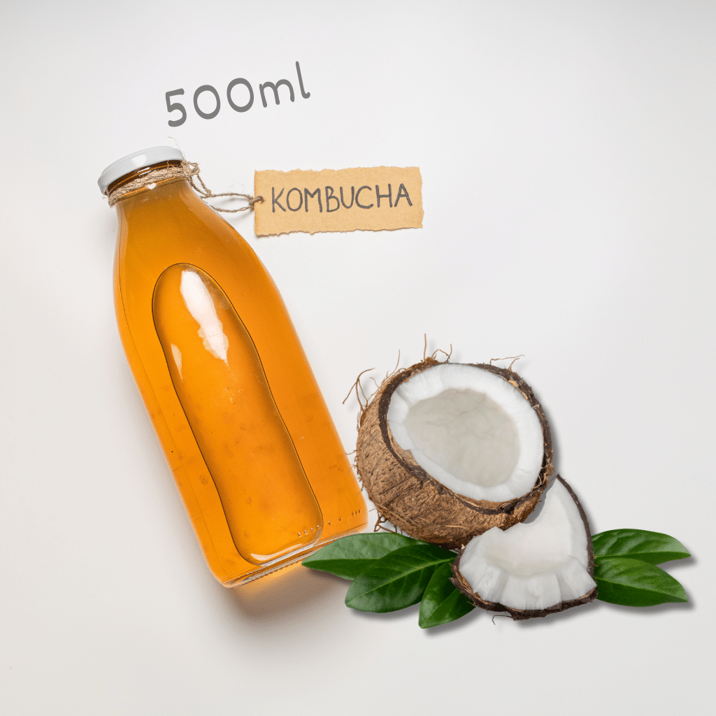 Kombucha Coconut 500ml