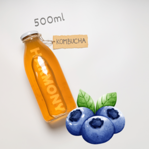 Kombucha Harmony Bleuberry 500ml