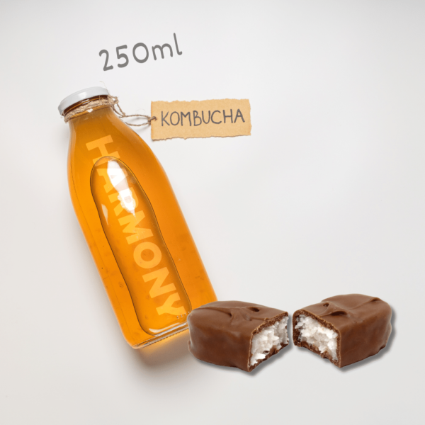 Kombucha Harmony Coconut Chocolate