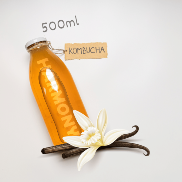 Kombucha Harmony Vaniila 500ml