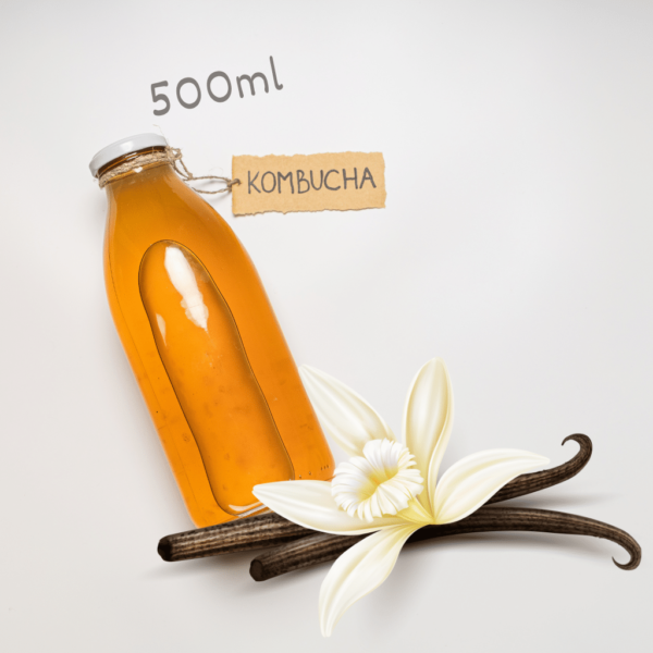 Kombucha Vaniila 500ml