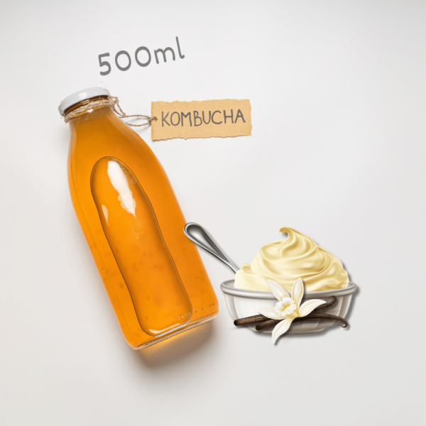 Kombucha Vaniila Pudding 500ml