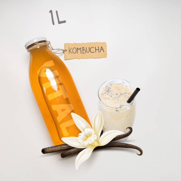 Kombucha Vital Vaniila Milkshake 1L