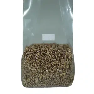 Sterilised Substrate bag1