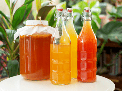 Kombucha2