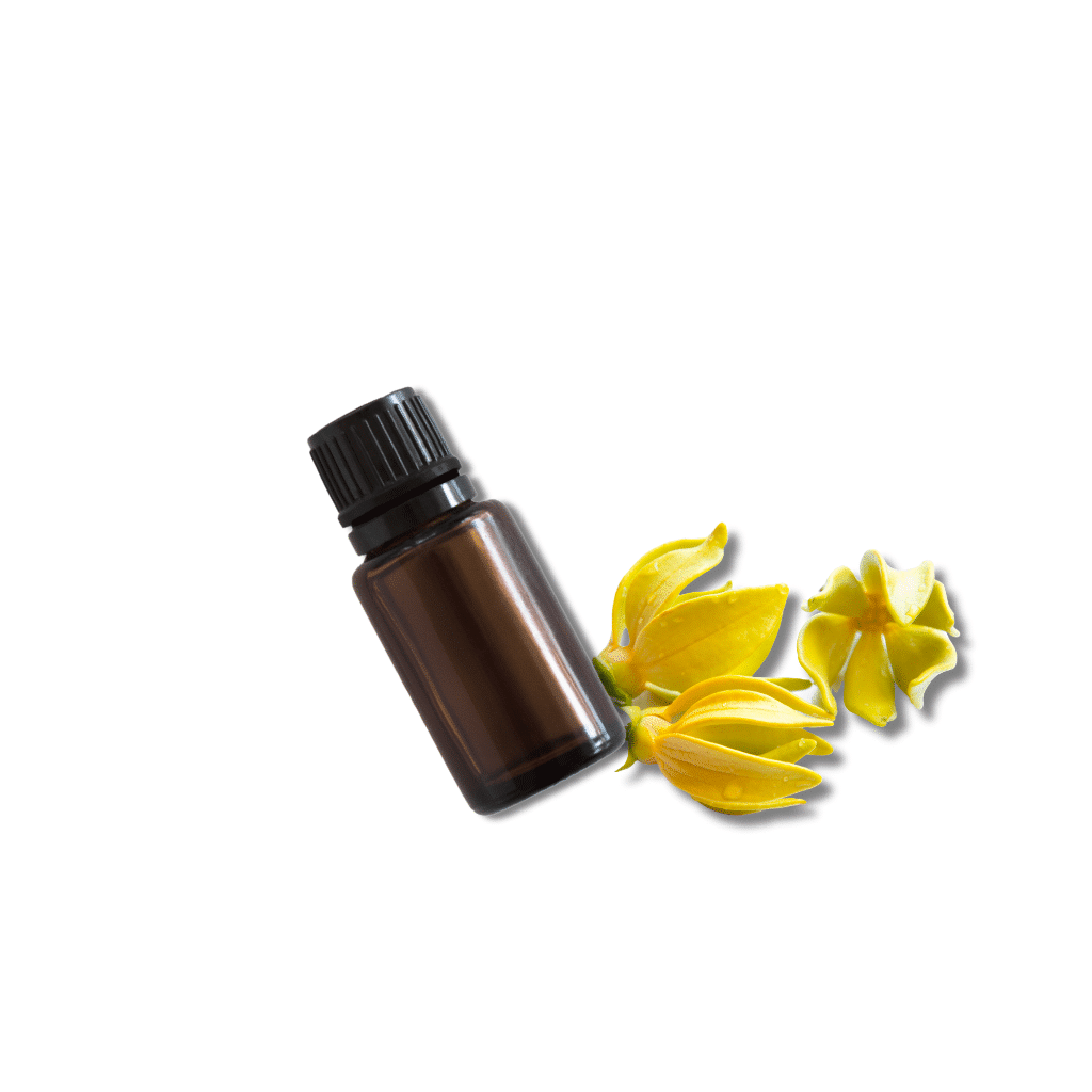 Ylang ylang