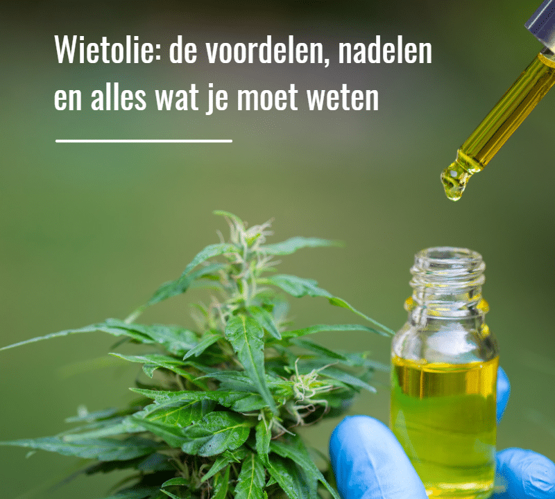 Wietolie 800x720