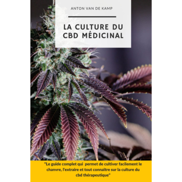 La culture du CBD médicinal